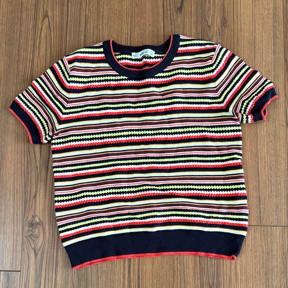 Zara Multicolor Striped Short Sleeve Knit Top